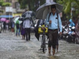 हरियाणा में सात साल में सबसे सूखा रहा जुलाई,