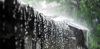हरियाणा में 21 और 22 को जमकर बरसेंगे मेघ, भारी बारिश की चेतावनी