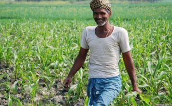 मानसून में किसानों को मिली दोहरी खुशी, अच्छी बारिश के बाद अब फसल बीमा राशि भी बढ़ी, पढ़ें पूरी खबर