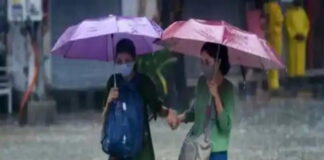 हरियाणा के इन 11 जिलों में भारी बारिश का अलर्ट,