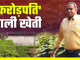 इस किसान ने सिर्फ आधा एकड़ जमीन से कमाए डेढ़ करोड़ रुपए