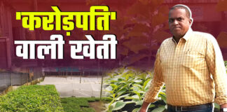 इस किसान ने सिर्फ आधा एकड़ जमीन से कमाए डेढ़ करोड़ रुपए