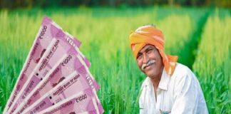 इस व्यवसाय से किसान बनेगे करोड़पति,