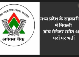 एमपी राज्य सहकारी बैंक में 197 पदों पर होगी भर्ती, 5 सितंबर तक कर सकते हैं ! एमपी राज्य सहकारी बैंक में 197 पदों पर होगी भर्ती,