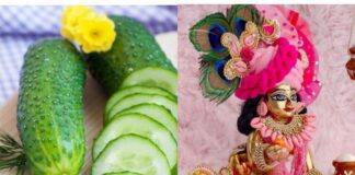 जन्माष्टमी की पूजा में विशेष महत्व रखता है खीरा,