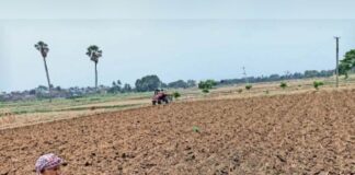 कम ज़मीन में एक साथ 3 फसलों की खेती कर रहा ये किसान,