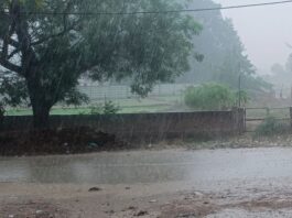 दोपहर बाद बदला मौसम, कई जिलों में बारिश