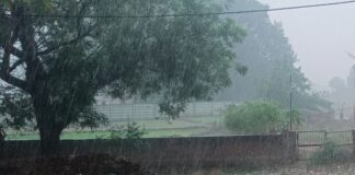 दोपहर बाद बदला मौसम, कई जिलों में बारिश