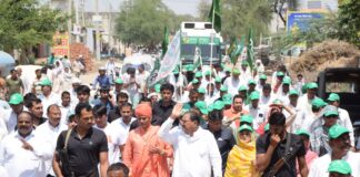 लोकसभा चुनाव में इंडिया गठबंधन को OP चौटाला से दूरी बनाना पड़ा भारी,