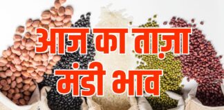 हरियाणा और राजस्थान में सरसों,