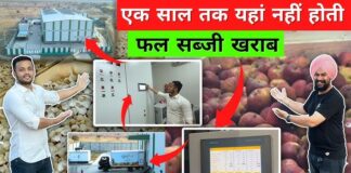 इस तकनीक से कभी ख़राब नहीं होते फल और सब्ज़ि