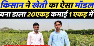 किसानों के पैसे और लाखों की फसल बचाएगा यह फ्री का जुगाड़ !