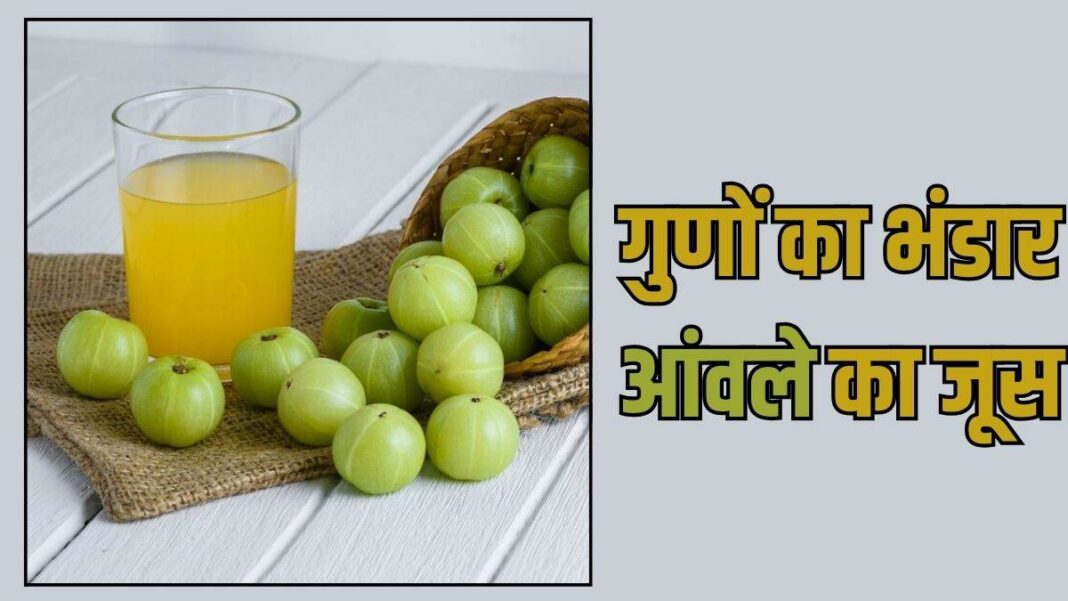 ऐसे बनाकर रोज पीएं Amla Juice, दोगुनी तेजी से अस्थियां होंगी पत्थर जैसी मजबूत, बूढ़ा होता शरीर बनेगा जवान !