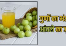 ऐसे बनाकर रोज पीएं Amla Juice, दोगुनी तेजी से अस्थियां होंगी पत्थर जैसी मजबूत, बूढ़ा होता शरीर बनेगा जवान !