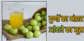 ऐसे बनाकर रोज पीएं Amla Juice, दोगुनी तेजी से अस्थियां होंगी पत्थर जैसी मजबूत, बूढ़ा होता शरीर बनेगा जवान !