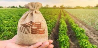 Govt Scheme: उन्नत खेती के गुर सीखने के लिए विदेश भेज रही सरकार, ऐसे आवेदन करें किसान !
