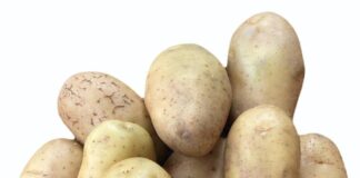 21 क्विंटल नकली आलू जब्त, खाने से कैंसर का है खतरा, FSSAI ने बताया हाथ लगाकर जांच करने का तरीका !