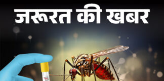 हरियाणा में डेंगू तेजी से अपने पैर पसार रहा है। बीते 10 दिन में पूरे राज्य में 673 नए मामले दर्ज किए गए हैं।