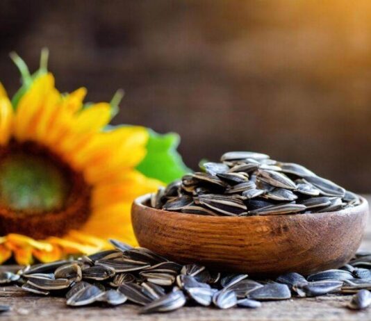 हड्डियों को मजबूत बनाते हैं सूरजमुखी के बीज