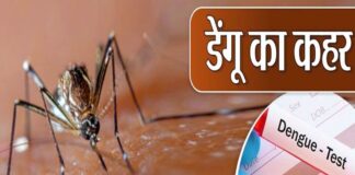 डेंगू का डंक हुआ तेज