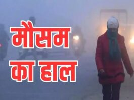 हरियाणा में स्कूल बंद, कोहरा बना मुसीबत तो पांच जिलों में धुंध का अलर्ट, ट्रेनों के पहिये भी थमे, बिगड़े हालात