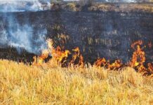 आग लगने की घटना के बाद जारी ग्रामीणों और बेलर संचालकों का धरना खत्म