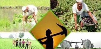 किसानों के लिए राज्य विशेष योजनाएं एवं सूचनाएं