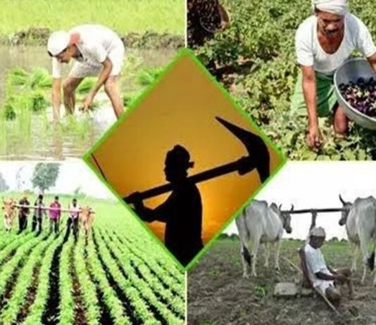 किसानों के लिए राज्य विशेष योजनाएं एवं सूचनाएं