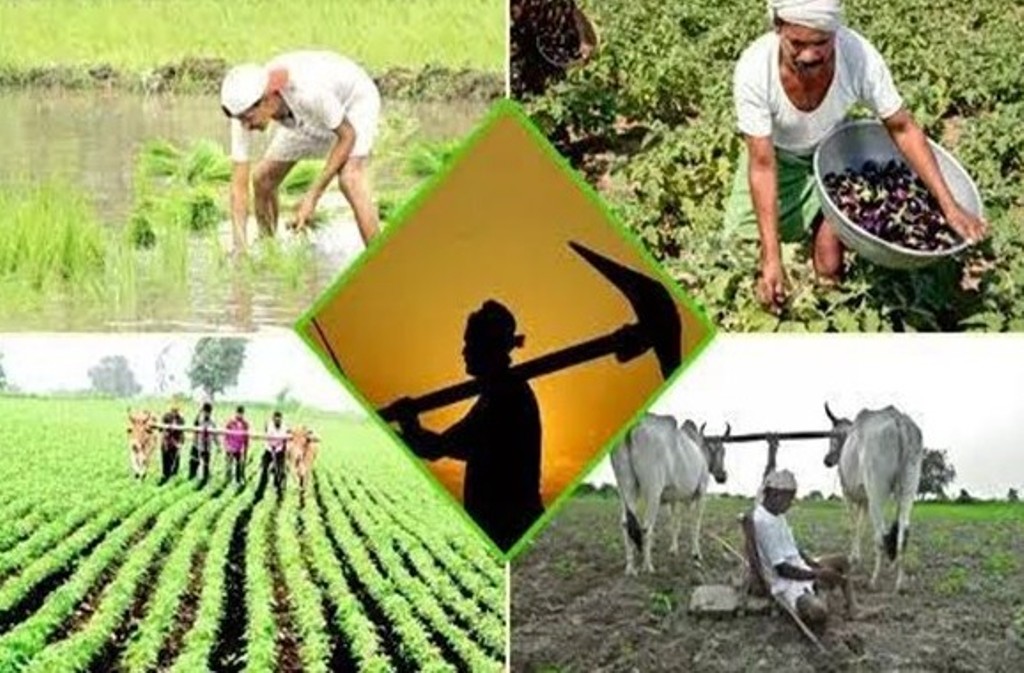 JommdOYvYQB3MH5YfV1b किसानों के लिए राज्य विशेष योजनाएं एवं सूचनाएं