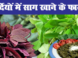 मेथी, पालक समेत ये 5 साग सेहत के लिए हैं वरदान,