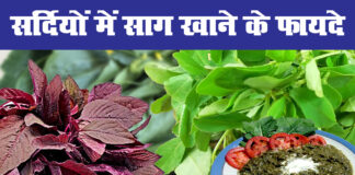 मेथी, पालक समेत ये 5 साग सेहत के लिए हैं वरदान,