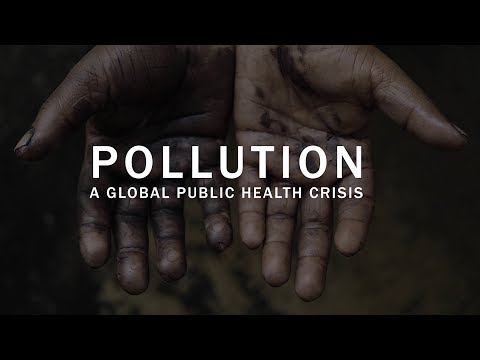 फिजिकल ही नहीं Mental Health भी खराब करता है Air Pollution