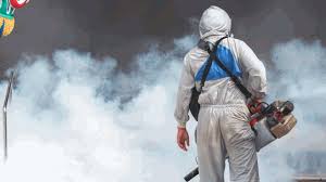 images (3) शहर में करवाई फॉगिंग, लारवा मिलने पर नौ मकान मालिकों को नोटिस