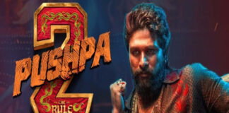 Pushpa 2 Collection Worldwide