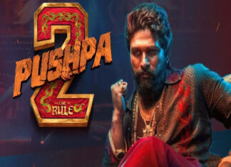 Pushpa 2 Collection Worldwide: तबाही है ‘पुष्पा 2’, 4 दिन में ही डगमगाई ‘स्त्री 2’ और ‘एनिमल’ की लाइफटाइम कमाई Pushpa 2 Collection Worldwide