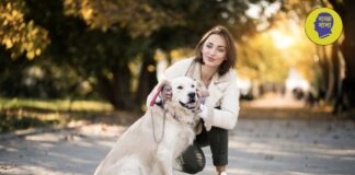 इंसानों की भाषा को कैसे समझते हैं कुत्ते? भविष्य के इन संकेतों को न करें इग्नोर