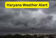 Haryana Weather News