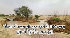 सिरसा में वरूवाली ​​​​​​​नहर टूटी
