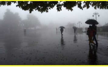 हरियाणा और राजस्थान में पाला, दो दिन बाद बदलेगा मौसम, बारिश और बर्फबारी की संभावना