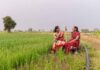 जिन जैव-संवर्द्धक उत्पादकों/आयातकों के उत्पाद शेड्यूल-VI में शामिल हो चुके हैं,