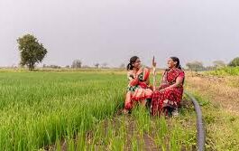 जिन जैव-संवर्द्धक उत्पादकों/आयातकों के उत्पाद शेड्यूल-VI में शामिल हो चुके हैं,