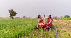 जिन जैव-संवर्द्धक उत्पादकों/आयातकों के उत्पाद शेड्यूल-VI में शामिल हो चुके हैं,