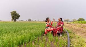 जिन जैव-संवर्द्धक उत्पादकों/आयातकों के उत्पाद शेड्यूल-VI में शामिल हो चुके हैं,