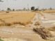 Sirsa News: 300 एकड़ फसल में जलभराव, नोहर फीडर नहर टूटी नहर टूटने की सूचना मिलने पर सिंचाई विभाग के एसडीओ हरदीप सिंह मौके पर पहुंचे।