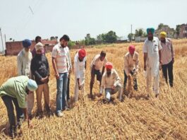 हरियाणा में पटवारियों की कमी से गिरदावरी का काम प्रभावित हो रहा है। गिरदावरी के लिए राज्य में 10.88 लाख एकड़ जमीन अभी लंबित है।