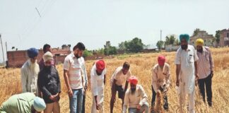 हरियाणा में पटवारियों की कमी से गिरदावरी का काम प्रभावित हो रहा है। गिरदावरी के लिए राज्य में 10.88 लाख एकड़ जमीन अभी लंबित है।