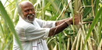 हरियाणा के मुख्यमंत्री नायब सिंह सैनी ने बुधवार को किसानों के लिए बड़े ऐलान किए हैं। सीएम ने यह भी बताया है कि फसल को हुए नुकसान का मुआवजा कब मिलेगा।