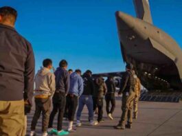 अमेरिका से 50 भारतीय नागरिकों को डिपोर्ट किया गया है इनमें से करनाल के 16 युवक की डिपोर्ट किए गए हैं। करनाल के सगोही गांव के रहने वाले रजत भी उनमें से एक है।