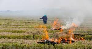 उन्होंने बताया कि जिला में फसल अवशेष प्रबंधन योजना के अंतर्गत धान की पराली में आगजनी पर पूर्ण प्रतिबंध लगाया गया है।