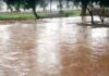 Haryana Rain: हिसार, नारनौल और फतेहाबाद में झमाझम बारिश, 47 एमएम पानी बरसा, अनाजमंडी में भीगा धान हरियाणा में मौसम में बदलाव के बाद सोमवार सुबह 8 बजे से फतेहाबाद क्षेत्र में बारिश जारी है। बारिश के कारण तापमान में गिरावट दर्ज की गई है।